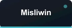 Misliwin bonus kartı